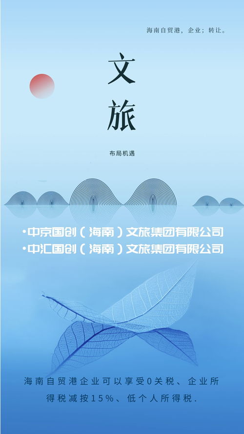 海南自貿(mào)港文旅集團與德國企業(yè)對比 稅收優(yōu)勢顯著助力文化藝術(shù)交流繁榮